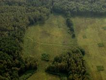 Porządkowanie przestrzeni leśnej i przyległej dla potrzeb rekreacji i turystyki w LKP „Lasy Elbląsko-Żuławskie”