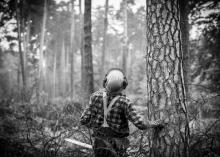 Konkurs Fotograficzny Las Drewno Człowiek