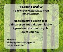 Zakup lasu i gruntów pod zalesienie