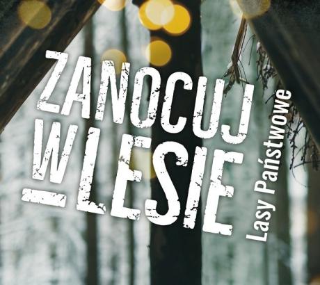 Program "Zanocuj w lesie"