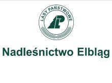 Informacja dotycząca przetargu na sprzedaż nieruchomości w Elblągu
