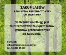 Zakup lasów i gruntów pod zalesienia