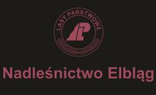 Ogłoszenie - Przetargi na dzierżawę sezonowych parkingów lesnych 2026